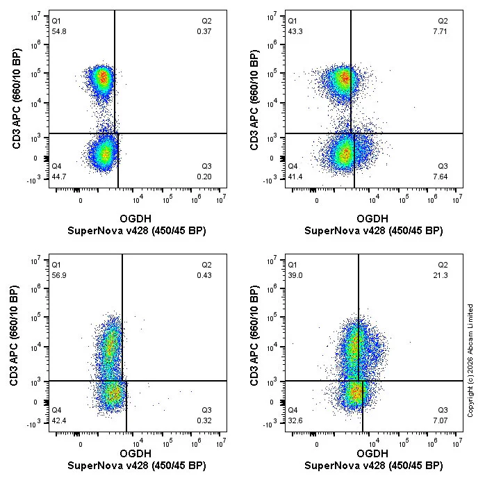 Flow Cytometry (Intracellular) - SNv428 Anti-OGDH antibody [EPR27181-78] (AB326186)