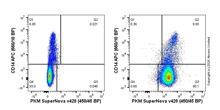 Flow Cytometry (Intracellular) - SNv428 Anti-PKM antibody [EPR10138(B)] (AB326147)