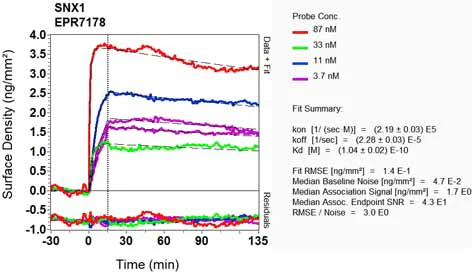 OI-RD Scanning - Anti-SNX1 antibody [EPR7178] - BSA and Azide free (AB248691)