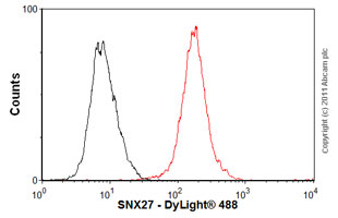 Flow Cytometry (Intracellular) - Anti-SNX27 antibody [1C6] (AB77799), expandable thumbnail