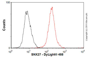 Flow Cytometry (Intracellular) - Anti-SNX27 antibody [1C6] (AB77799)