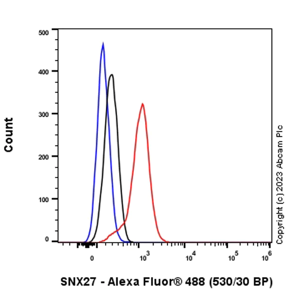 Flow Cytometry (Intracellular) - Anti-SNX27 antibody [EPR28130-16] - BSA and Azide free (AB315898)
