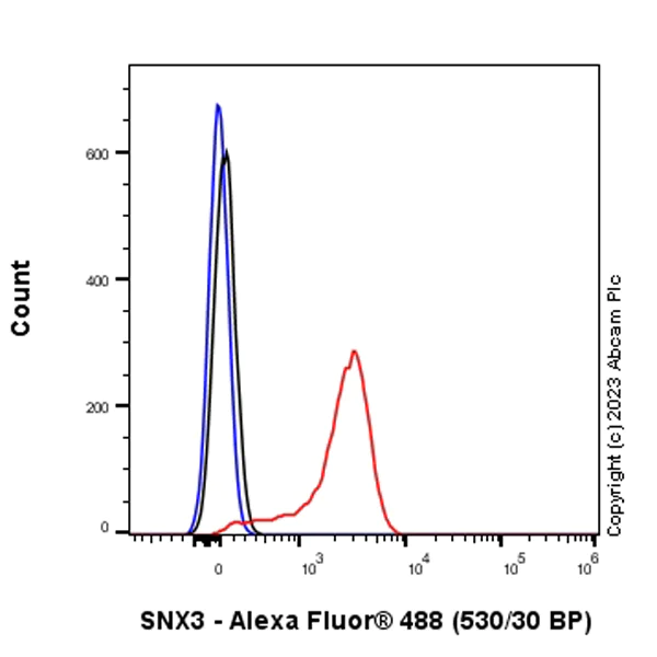 Flow Cytometry (Intracellular) - Anti-SNX3 antibody [EPR28131-55] - BSA and Azide free (AB314493)