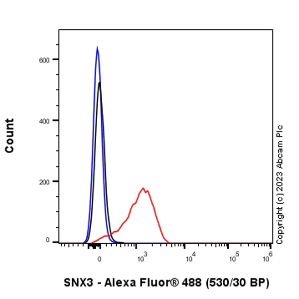 Flow Cytometry (Intracellular) - Anti-SNX3 antibody [EPR28131-55] - BSA and Azide free (AB314493)