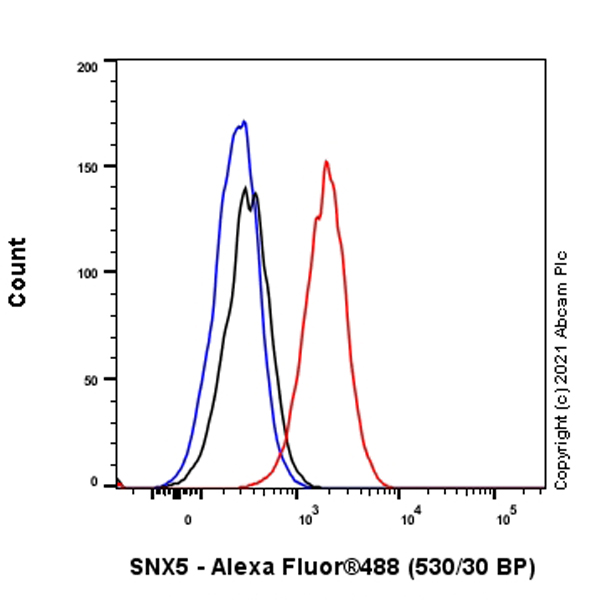 Flow Cytometry - Anti-SNX5 antibody [EPR14358] (AB180520), expandable thumbnail