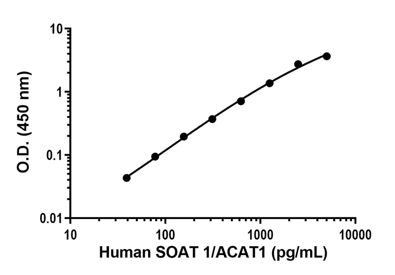 Sandwich ELISA - Anti-SOAT 1/ACAT1 antibody [EPR26952-9] - BSA and Azide free (Detector) (AB307249)