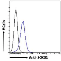 Flow Cytometry (Intracellular) - Anti-SOCS1 antibody (AB9870)