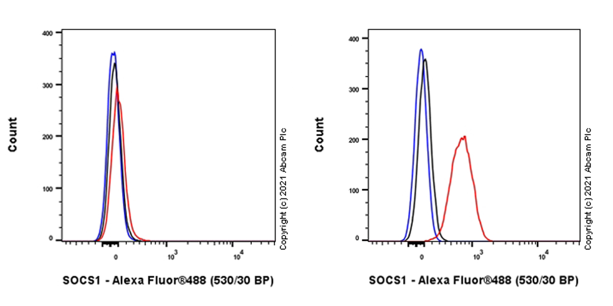 Flow Cytometry (Intracellular) - Anti-SOCS1 antibody [EPR24290-356] (AB280886), expandable thumbnail