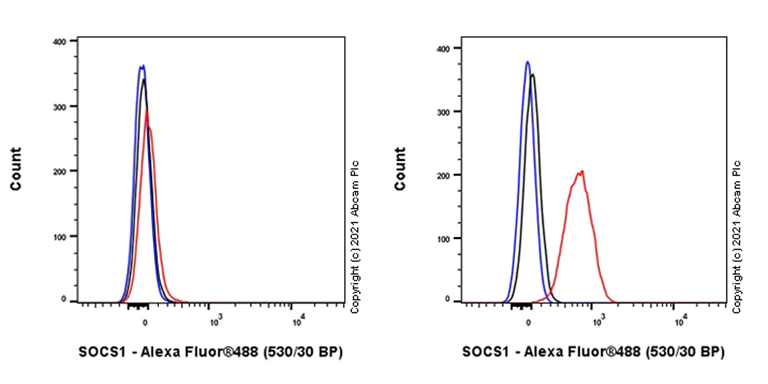 Flow Cytometry (Intracellular) - Anti-SOCS1 antibody [EPR24290-356] (AB280886)