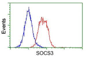 Flow Cytometry (Intracellular) - Anti-SOCS3 antibody [OTI3D3] (AB236519)