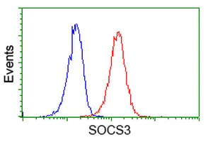 Flow Cytometry (Intracellular) - Anti-SOCS3 antibody [OTI3D3] (AB236519)