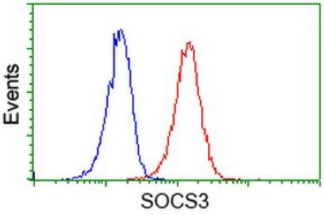 Flow Cytometry (Intracellular) - Anti-SOCS3 antibody [OTI3D3] - BSA and Azide free (AB273652)