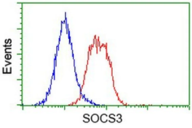Flow Cytometry (Intracellular) - Anti-SOCS3 antibody [OTI3D3] - BSA and Azide free (AB273652)