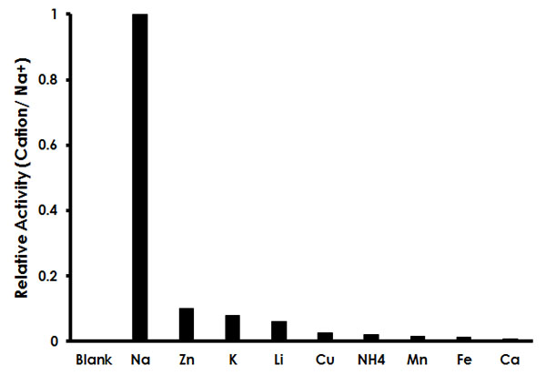 Functional Studies - Sodium Assay Kit (Colorimetric) (AB211096), expandable thumbnail