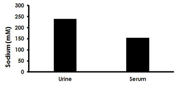 Functional Studies - Sodium Assay Kit (Colorimetric) (AB211096)