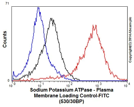 Flow Cytometry (Intracellular) - Anti-Sodium Potassium ATPase antibody [EP1845Y] - Plasma Membrane Loading Control (AB76020)