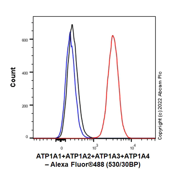 Flow Cytometry (Intracellular) - Anti-Sodium/potassium-transporting ATPase (pan alpha subunit) antibody [EPR25414-249]-BSA&Azide free (AB300508)