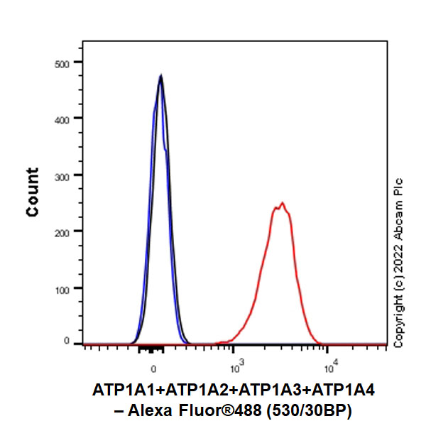 Flow Cytometry (Intracellular) - Anti-Sodium/potassium-transporting ATPase (pan alpha subunit) antibody [EPR25414-249] (ab300507), expandable thumbnail