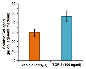 Functional Studies - Soluble Collagen Assay Kit (AB241015)