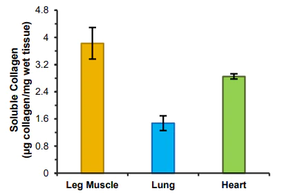 Functional Studies - Soluble Collagen Assay Kit (AB241015)