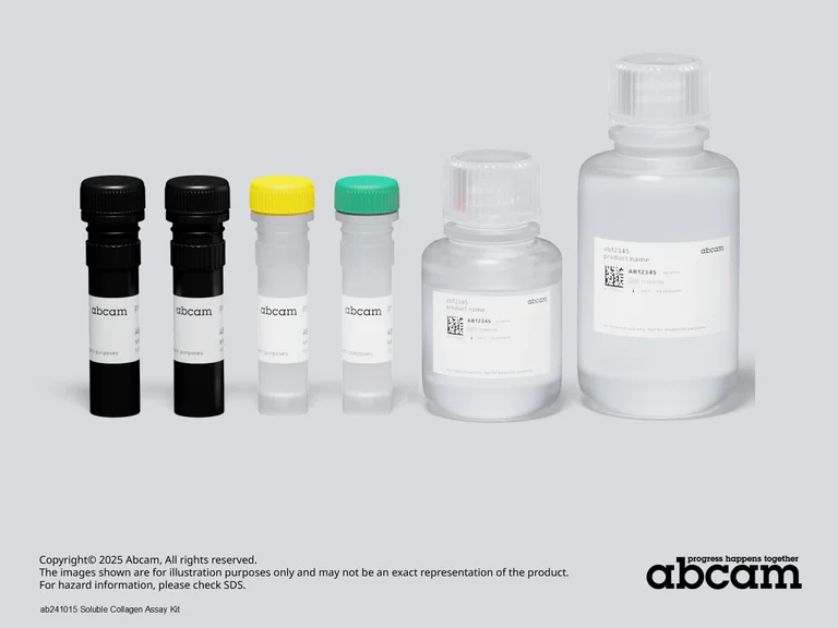 Other - Soluble Collagen Assay Kit (AB241015)