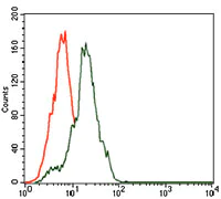 Flow Cytometry - Anti-Somatostatin antibody [7G5] (AB140665)