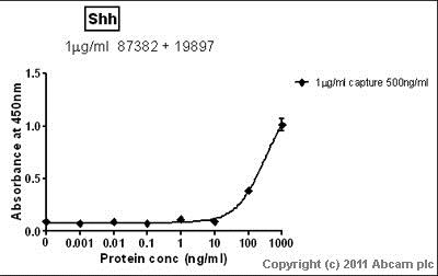 Sandwich ELISA - Anti-Sonic Hedgehog antibody (AB19897), expandable thumbnail