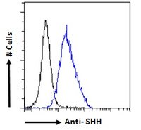 Flow Cytometry (Intracellular) - Anti-Sonic Hedgehog antibody (AB240438), expandable thumbnail
