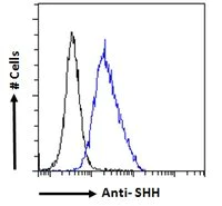 Flow Cytometry (Intracellular) - Anti-Sonic Hedgehog antibody (AB240438)