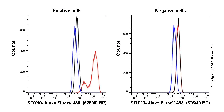 Flow Cytometry (Intracellular) - Anti-SOX10 antibody [SP267] - BSA and Azide free (AB245760)