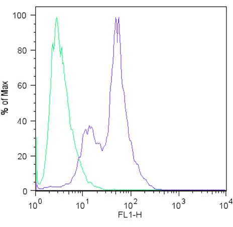 Flow Cytometry - Anti-SOX2 antibody [20G5] (AB171380)