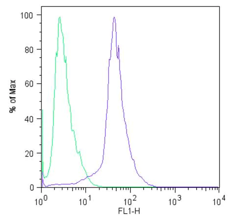 Flow Cytometry - Anti-SOX2 antibody [20G5] (AB171380)