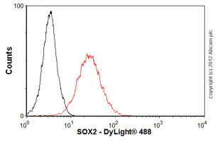 Flow Cytometry (Intracellular) - Anti-SOX2 antibody [9-9-3] - BSA and Azide free (AB264112)
