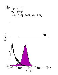 Flow Cytometry - Anti-SOX2 antibody (AB137385), expandable thumbnail