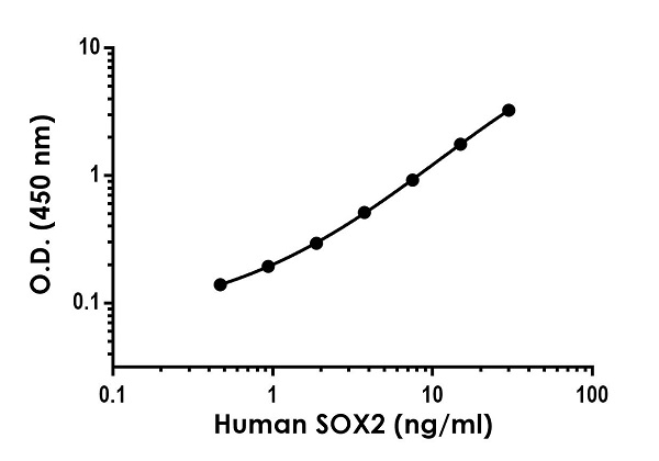 Sandwich ELISA - Anti-SOX2 antibody [EPR20531-102] - BSA and Azide free (Capture) (AB252598), expandable thumbnail