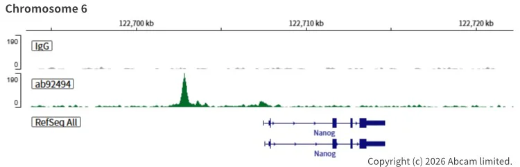 ChIC/CUT&RUN sequencing - Anti-SOX2 antibody [EPR3131] (AB92494)