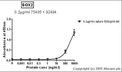 Sandwich ELISA - Anti-SOX2 antibody [EPR3131] (AB92494)