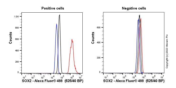 Flow Cytometry (Intracellular) - Anti-SOX2 antibody [SP76] - BSA and Azide free (AB243909)