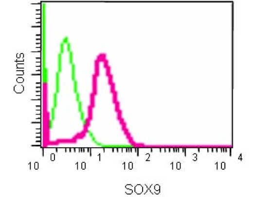 Flow Cytometry (Intracellular) - Anti-SOX9 antibody [EPR14335] - BSA and Azide free (AB220812), expandable thumbnail