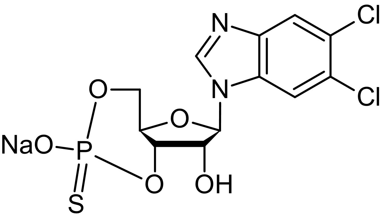 Sp-5,6-Dichloro-cBIMPS, cAMP-dependent protein kinase activator