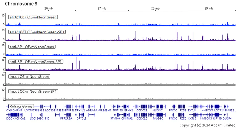 ChIP-sequencing - Anti-SP1 antibody [EPR22648-50] - ChIP Grade (AB231778)