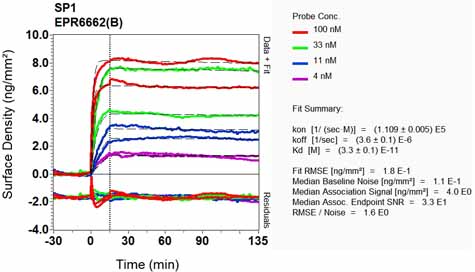 OI-RD Scanning - Anti-SP1 antibody [EPR6662(B)] (ab124804), expandable thumbnail