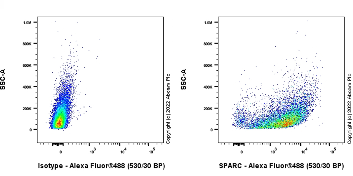 Flow Cytometry (Intracellular) - Anti-SPARC antibody [EPR25122-122] - BSA and Azide free (ab290647), expandable thumbnail