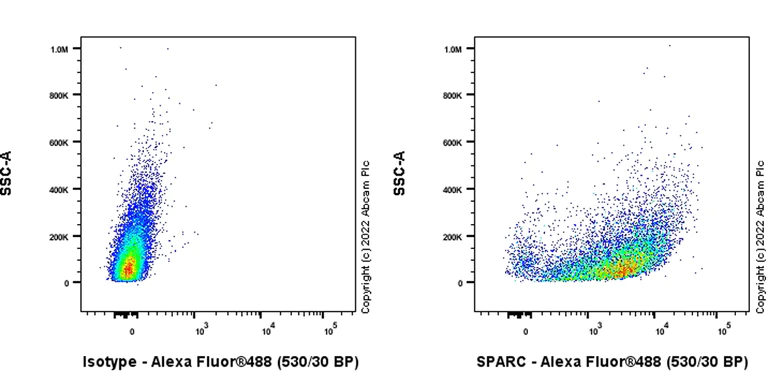 Flow Cytometry (Intracellular) - Anti-SPARC antibody [EPR25122-122] - BSA and Azide free (AB290647)