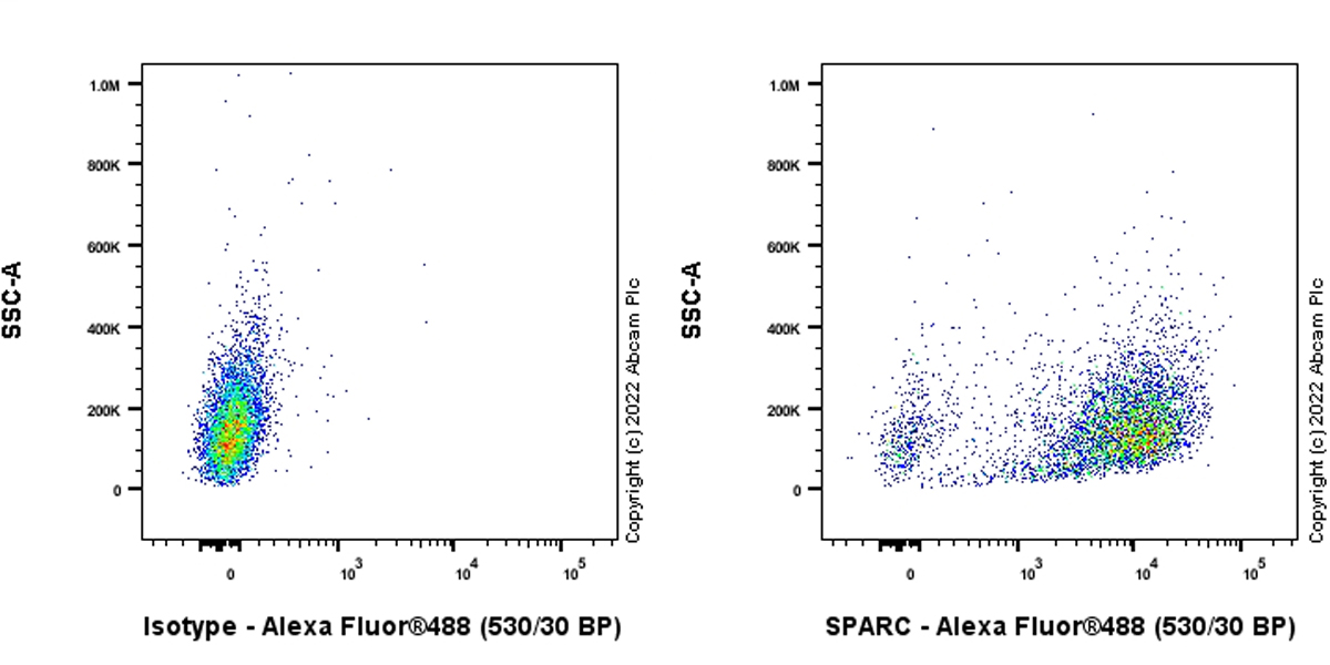 Flow Cytometry (Intracellular) - Anti-SPARC antibody [EPR25122-122] - BSA and Azide free (ab290647), expandable thumbnail
