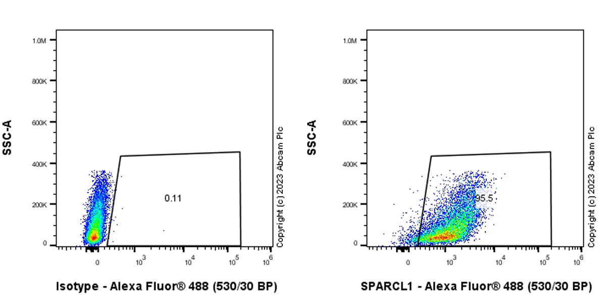 Flow Cytometry (Intracellular) - Anti-SPARCL1 antibody [EPR28135-54] (AB313638), expandable thumbnail
