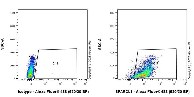 Flow Cytometry (Intracellular) - Anti-SPARCL1 antibody [EPR28135-54] - BSA and Azide free (AB313639)
