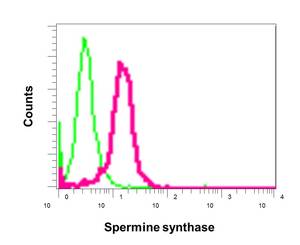 Flow Cytometry (Intracellular) - Anti-Spermine synthase antibody [EPR9253] - BSA and Azide free (AB248996)
