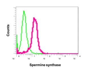 Flow Cytometry (Intracellular) - Anti-Spermine synthase antibody [EPR9253] - BSA and Azide free (AB248996)