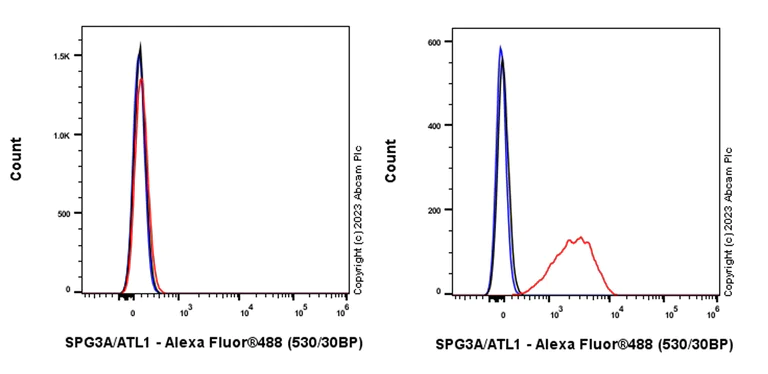 Flow Cytometry (Intracellular) - Anti-SPG3A/ATL1 antibody [EPR28057-64] (AB316111)